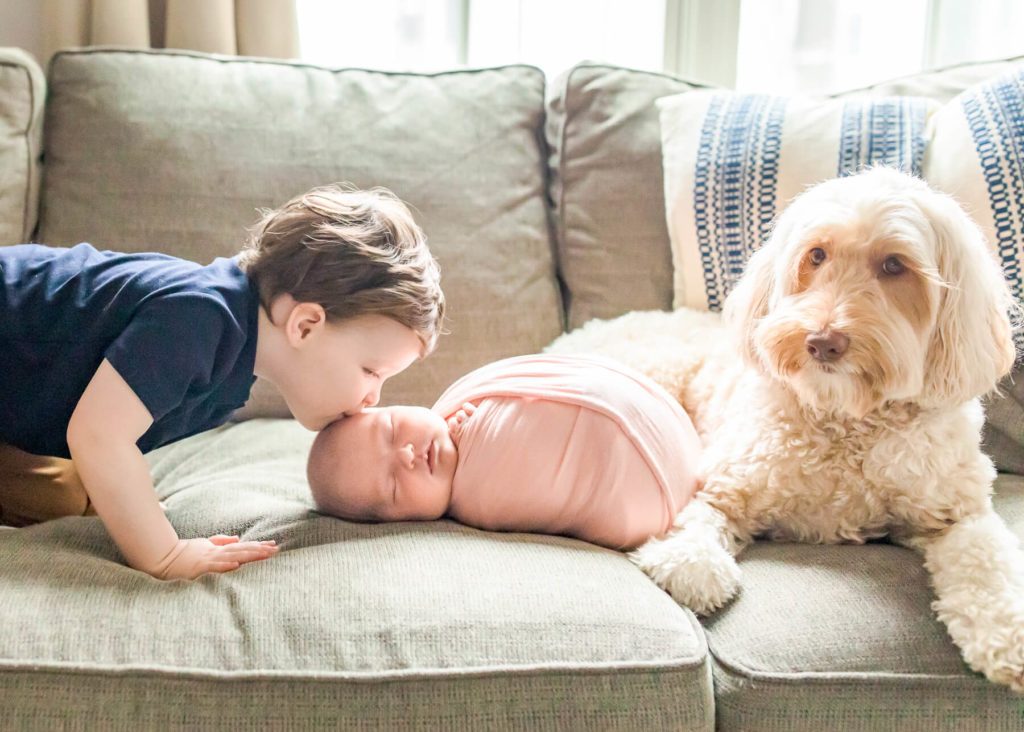 How Will My Dog Behave Around My New Baby?