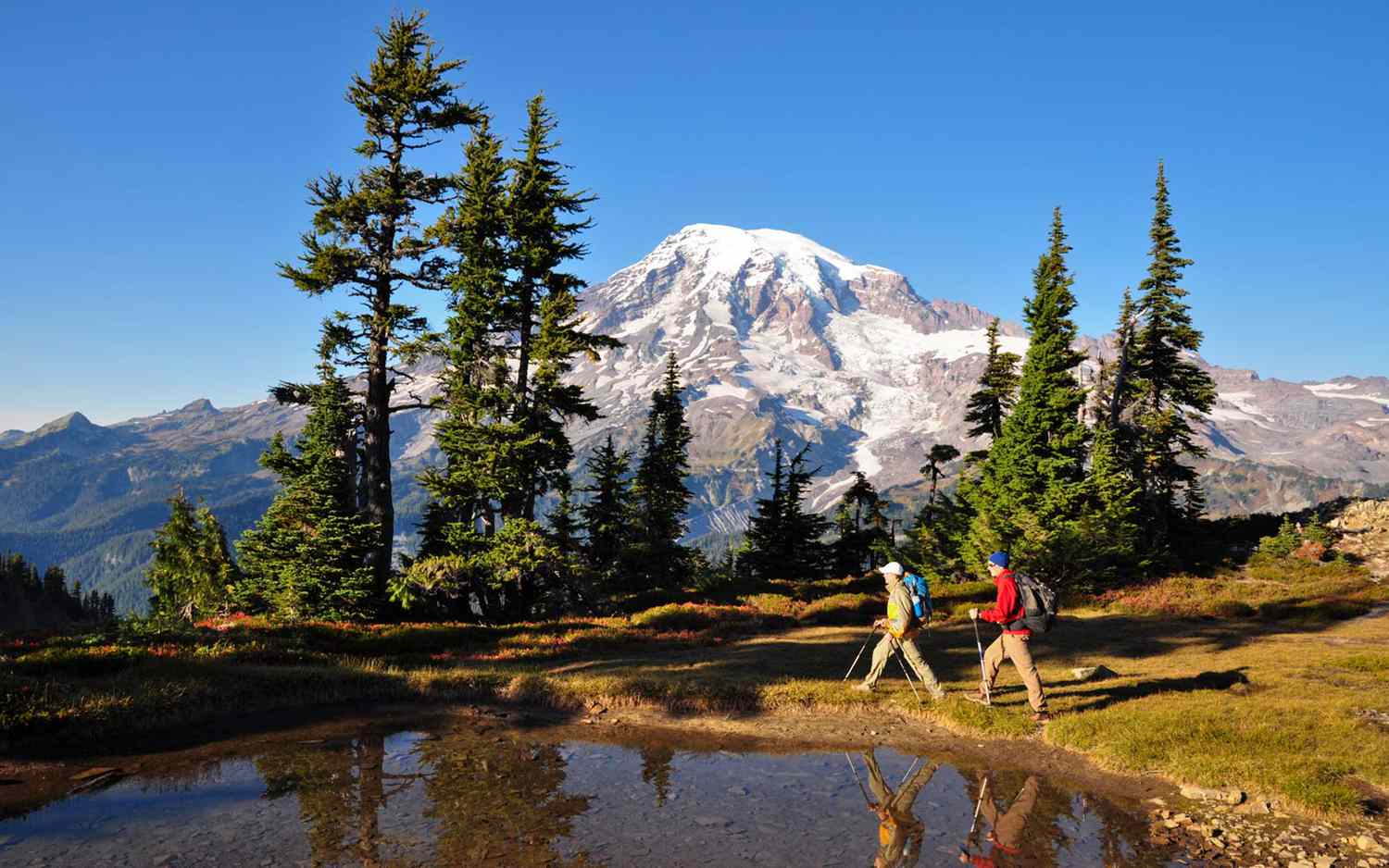 New study reveals the best and worst states for spring hiking across America