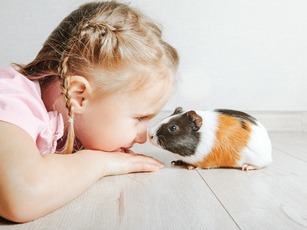 Getting a New Pet for Your Children: What Parents Should Know